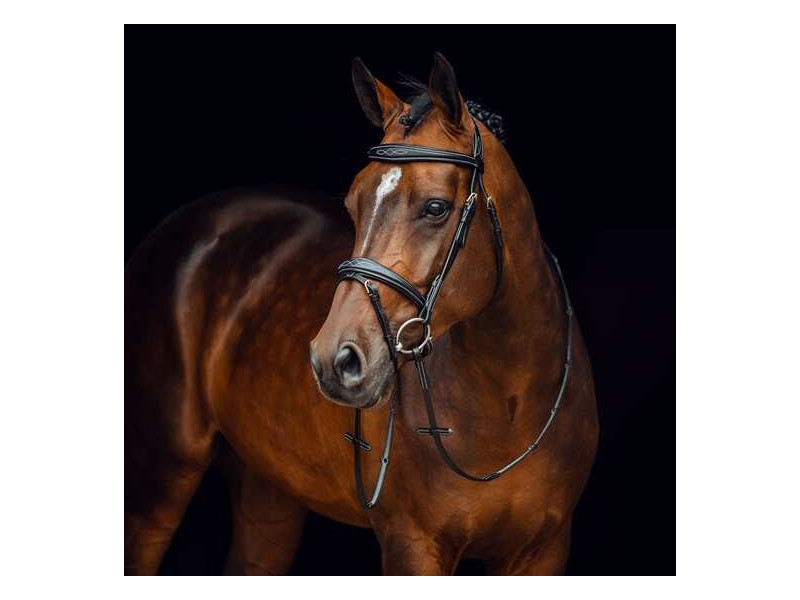 Uzdečka s oťažami Horze Sion