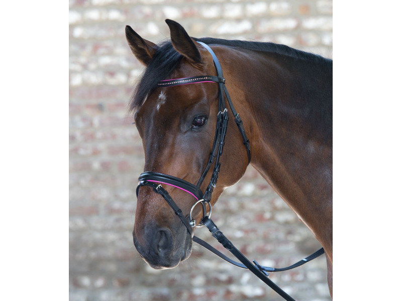 Uzdečka s oťažami a anglickým nánosníkom Star Diamond