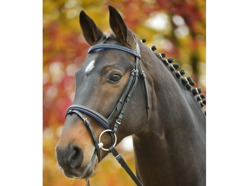 Uzdečka s oťažami a anglickým nánosníkom Star Diamond