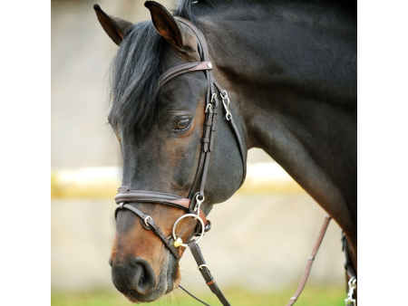 Uzdečka s oťažami Kavalkade EveryDay