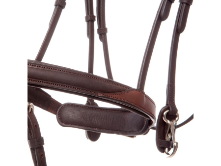 Uzdečka s oťažami Kavalkade EveryDay